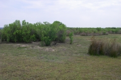 imgp0931