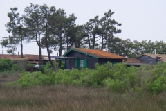 imgp0937