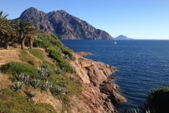 corse24