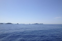 corse27