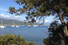 corse39
