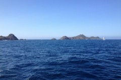 corse42