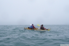 imgp0101
