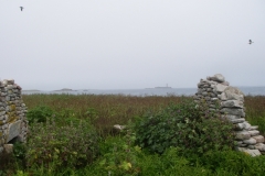 imgp0125