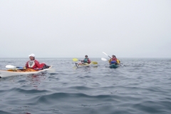 imgp0175