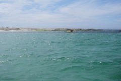 glenans2008_126