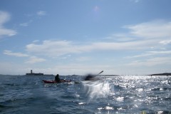 glenans2008_141