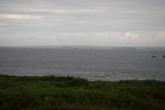 imgp0447