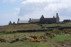 imgp0478