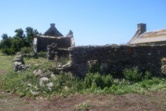 imgp0482