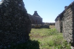 imgp0483