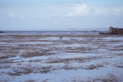 imgp0489