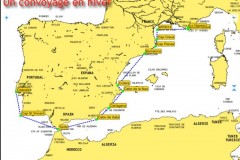 nocealia_1