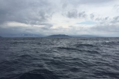 nocealia_14