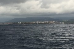 nocealia_16