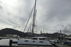 nocealia_29