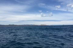 nocealia_42