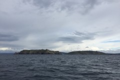 roseanor_42