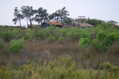 imgp0935