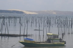 imgp1020
