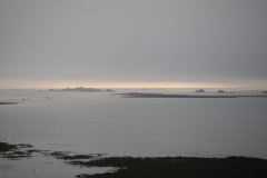 imgp0145