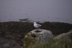 imgp0146