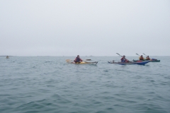 imgp0162