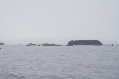 imgp0164