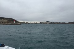 nocealia_30
