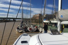 nocealia_37
